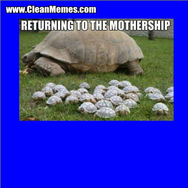 ReturningToTheMothership