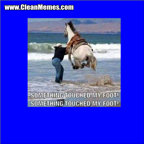 SomethingTouchedMyFoot