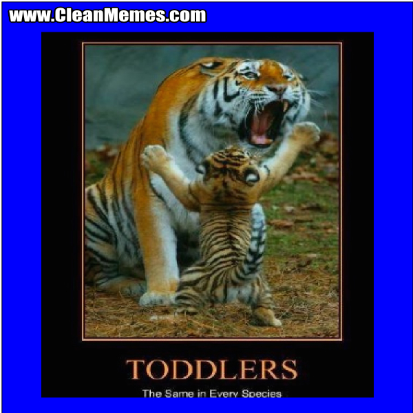 TheSameInEverySpecies