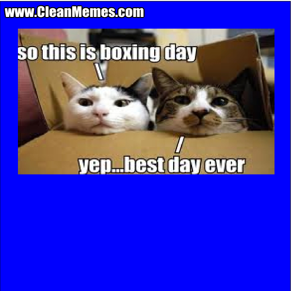 ThisIsBoxingDay