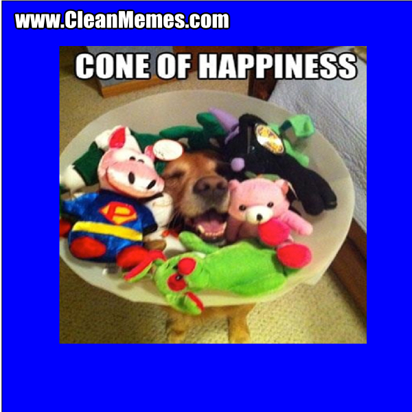 ConeOfHappiness