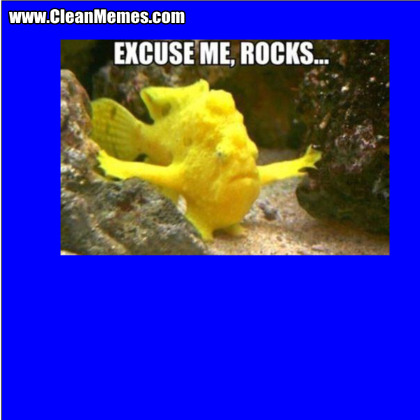 ExcuseMeRocks