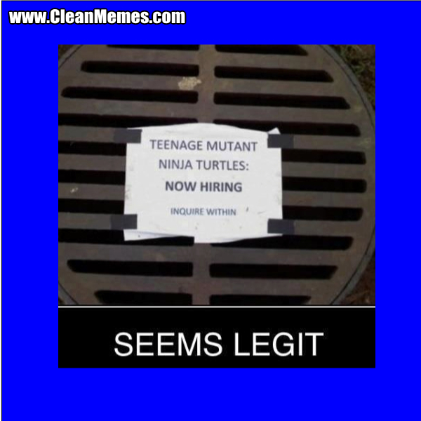 LegitTurtles