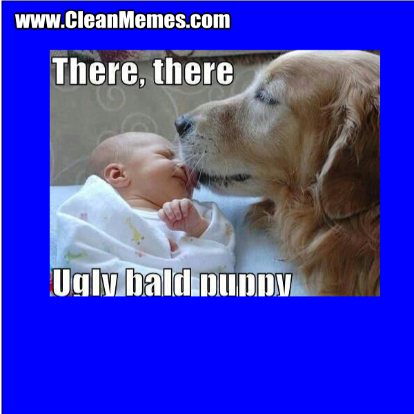 UglyBaldPuppy