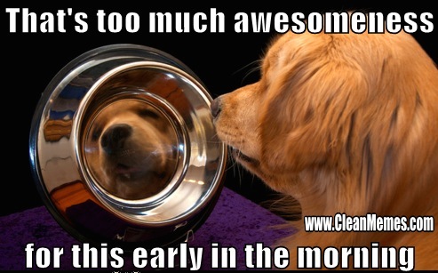 39TooMuchAwesomeness