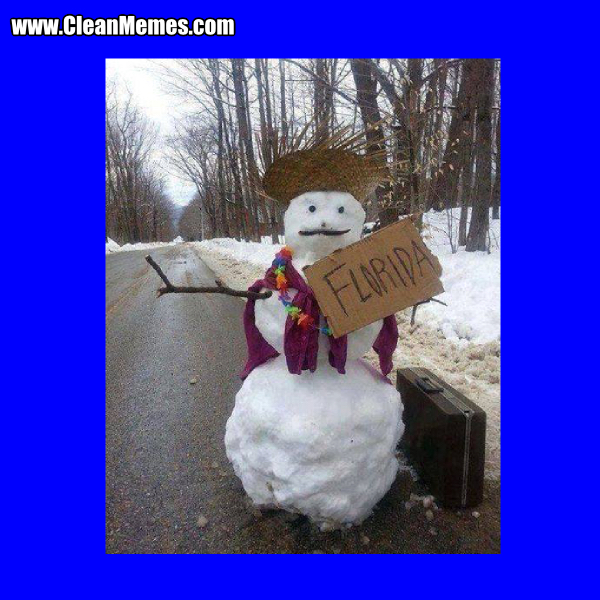 3FloridaSnowman