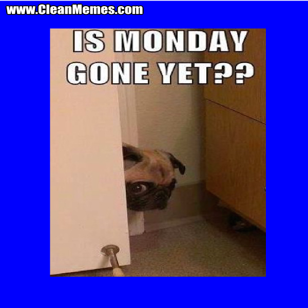 20MondayGoneYet