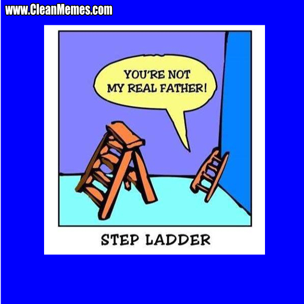 23StepLadder