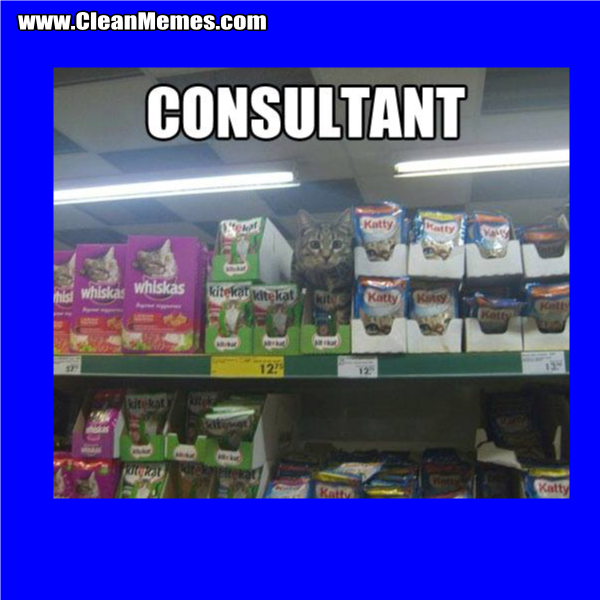 2Consultant