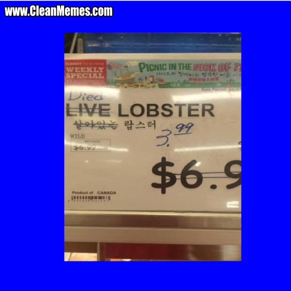 4LiveLobster
