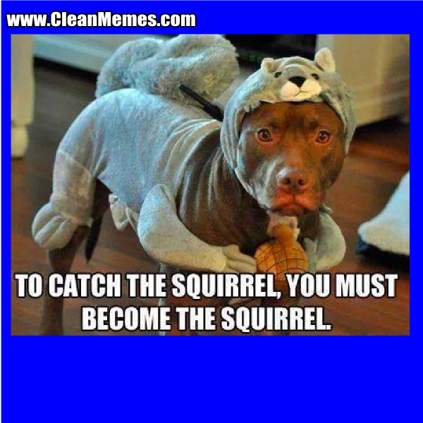 11BecomeTheSquirrel