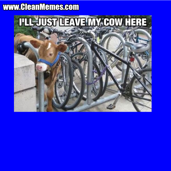 11LeaveMyCow