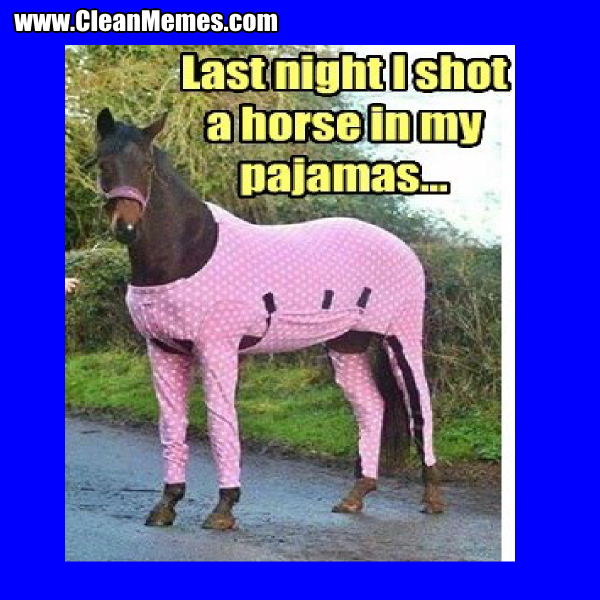 13HorseInMyPajamas