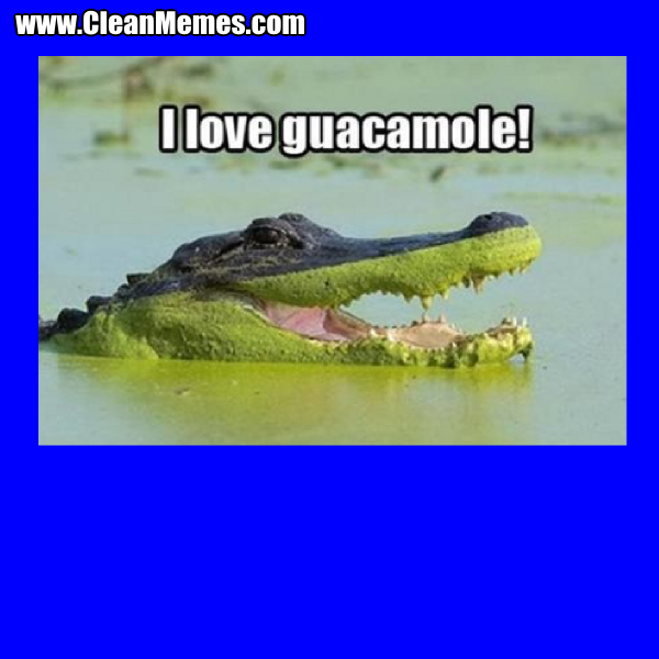 13LoveGuacamole