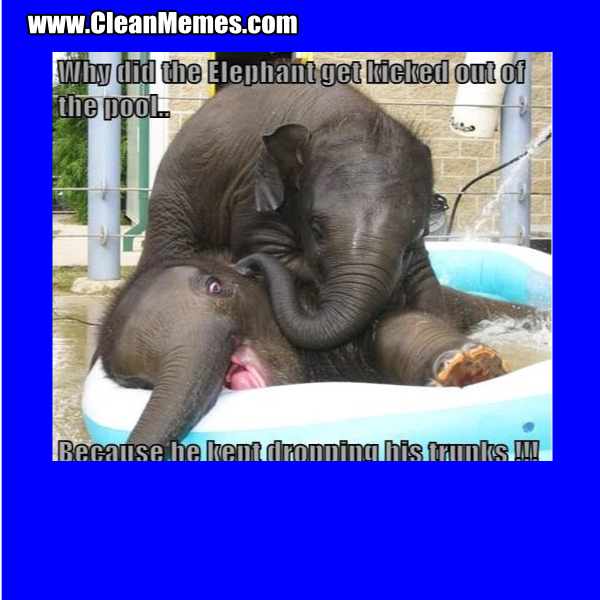 14KickedOutOfThePool