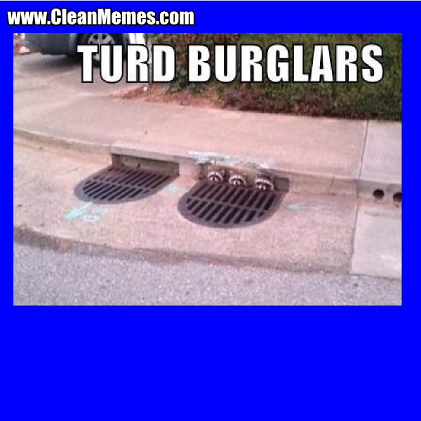 15TurdBurglars