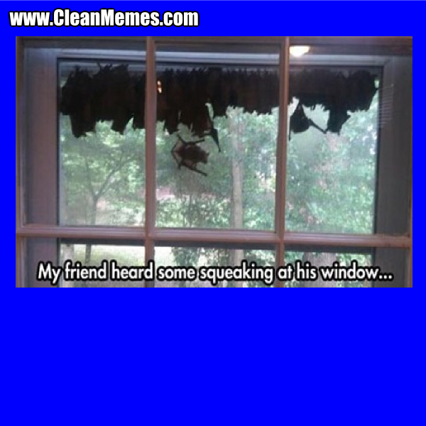 24SqueakingAtHisWindow