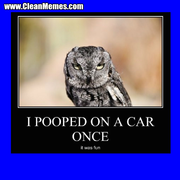 25PoopedOnACarOnce