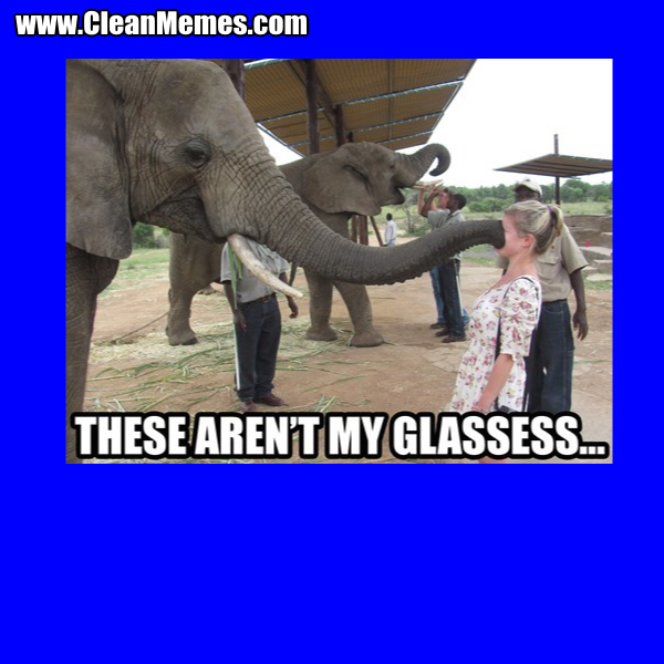 2ArentMyGlasses