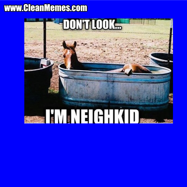 5Neighkid
