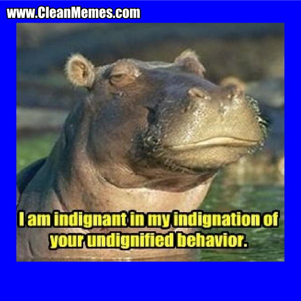 7UndignifiedBehavior