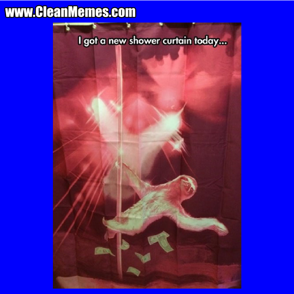 9ANewShowerCurtain