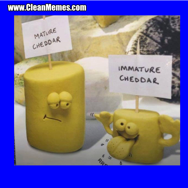 11MatureCheddar