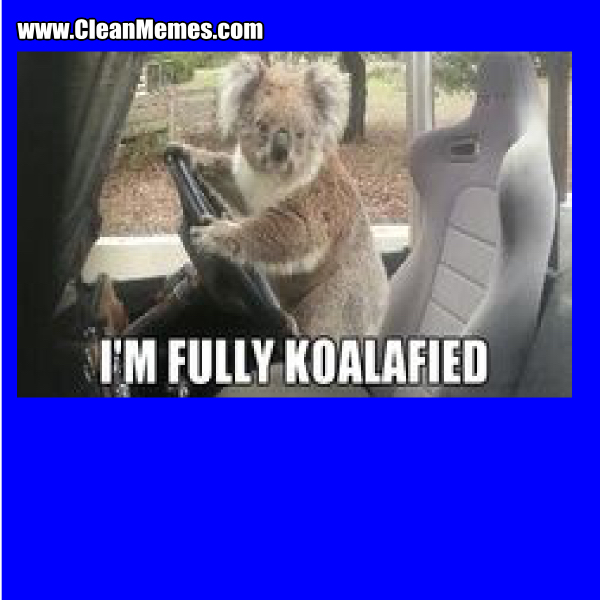 88FullyKoalafied