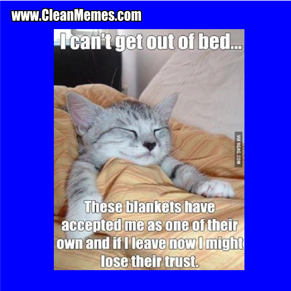 Funny Bedroom Memes The Best Bed Memes :) Memedroid