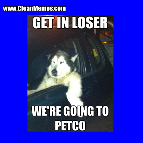 14GoingToPetco