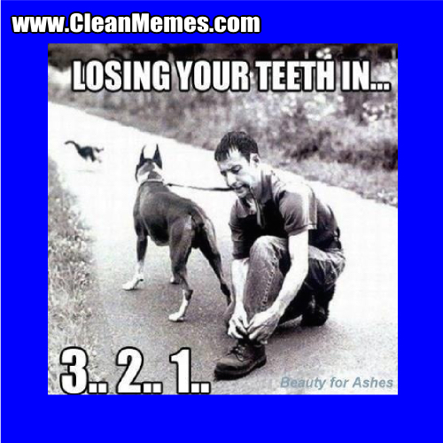 22LosingYourTeeth