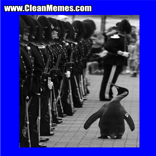 40PenguinSalute