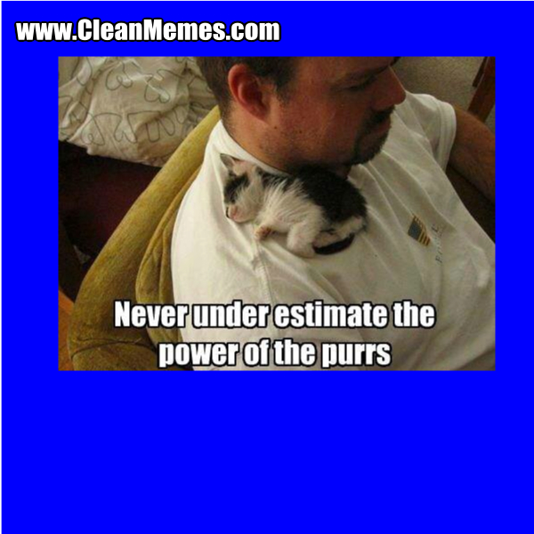 1PowerOfThePurrs