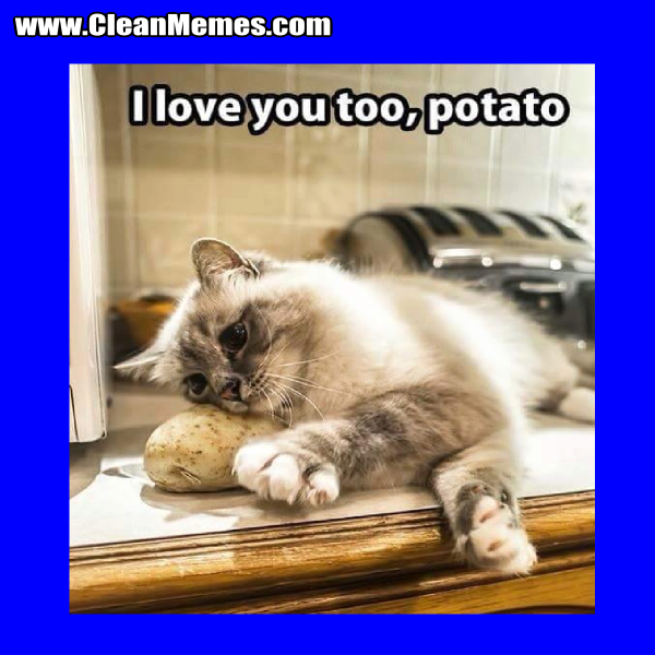 1SeePotato