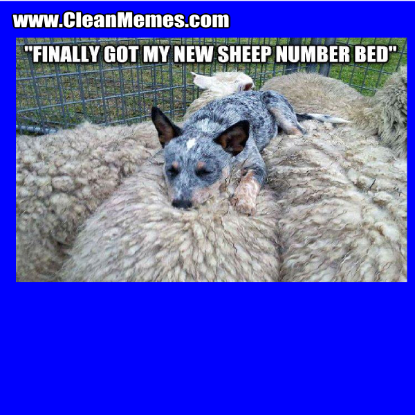 25SheepNumberBed