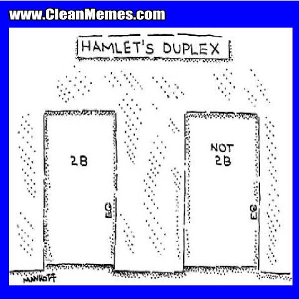 54HamletDuplex