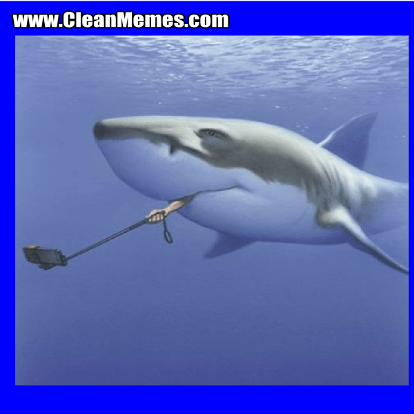 65SharkSelfie