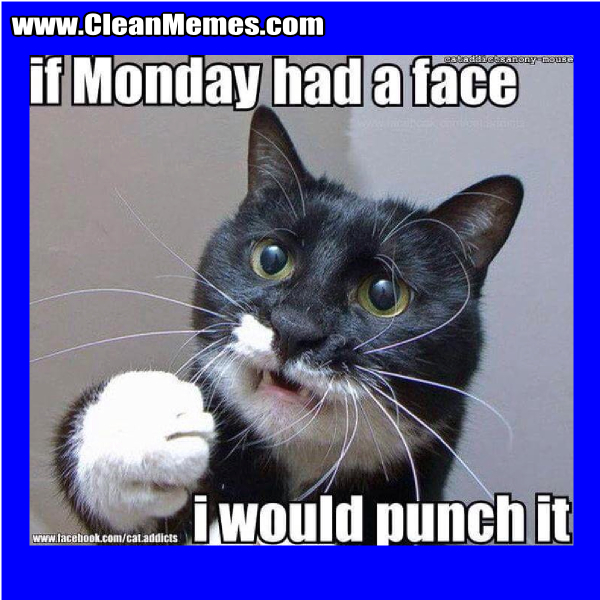 82MondayHadAFace
