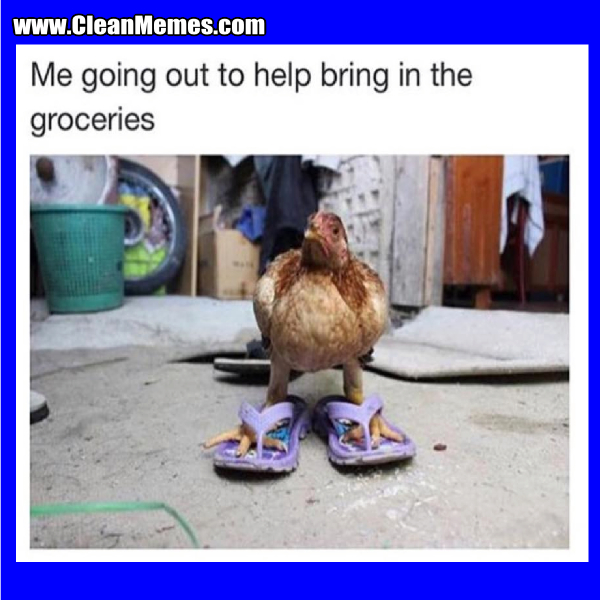 85BringInTheGroceries