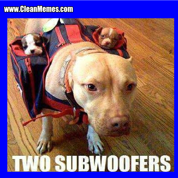 1TwoSubwoofers