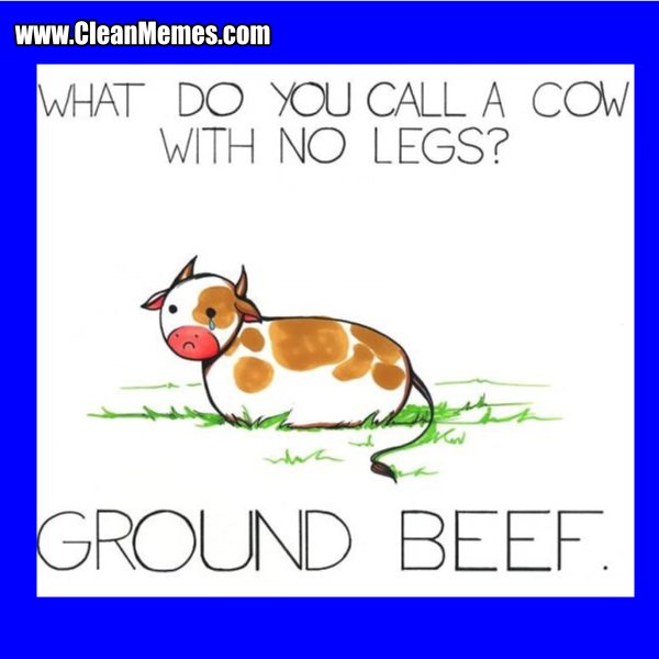 2GroundBeef