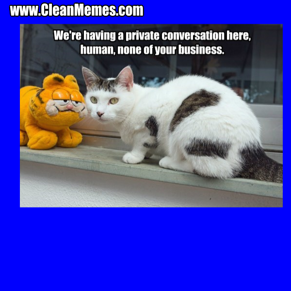 55NoneOfYourBusiness