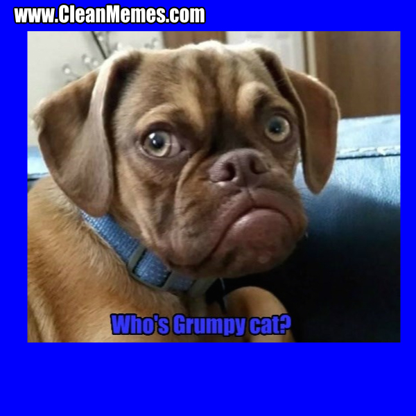 76GrumpyDog