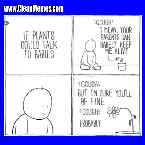12PlantsCouldTalk