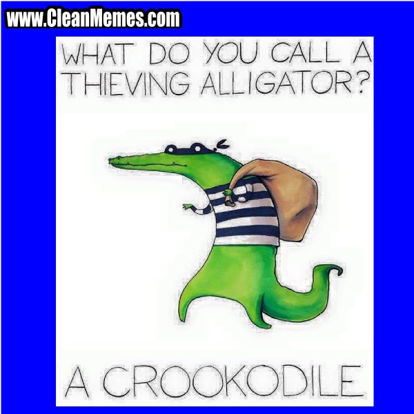 6Crookodile