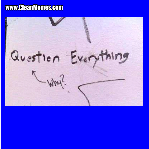 81QuestionEverything