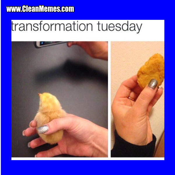 8TransformationTuesday