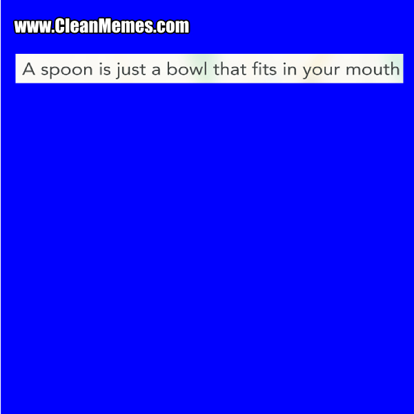2SpoonBowl