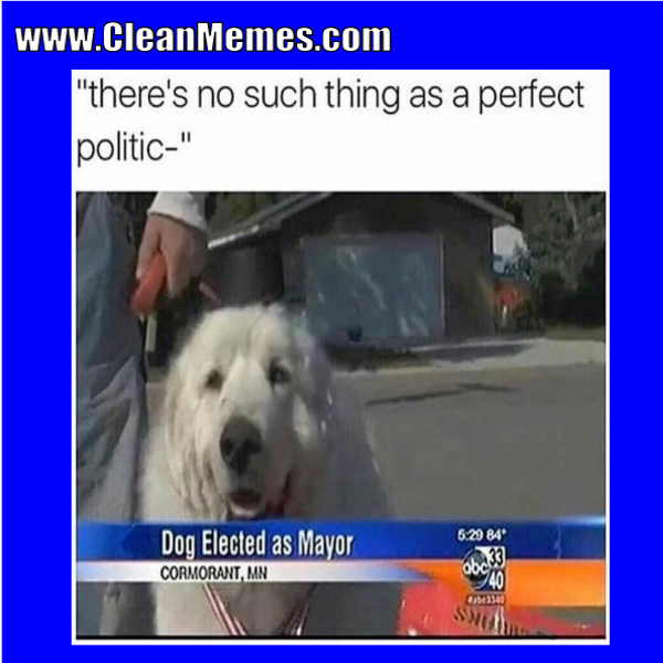 45perfectpolitic