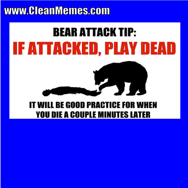 8bearattack